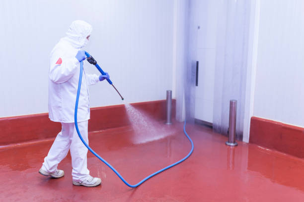 Best Heavy Equipment Washing  in Oldsmar, FL