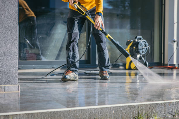 Best Building Exterior Washing  in Oldsmar, FL